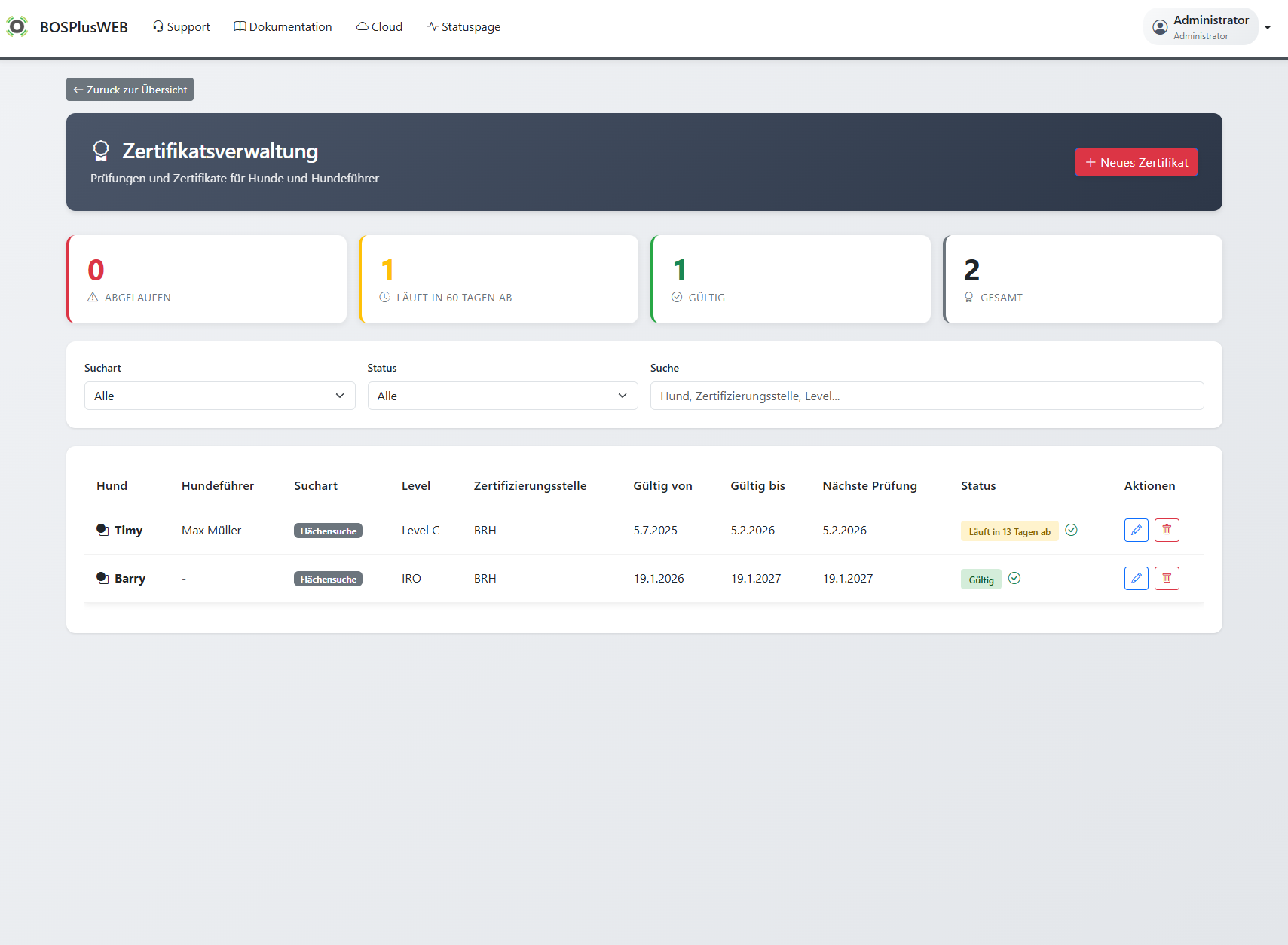 Statistiken & Auswertungen